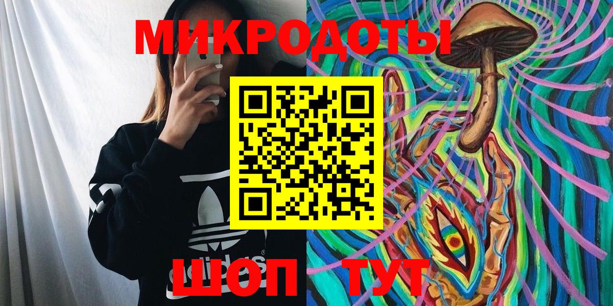 Галлюциногенные грибы Psilocybine cubensis Заинск